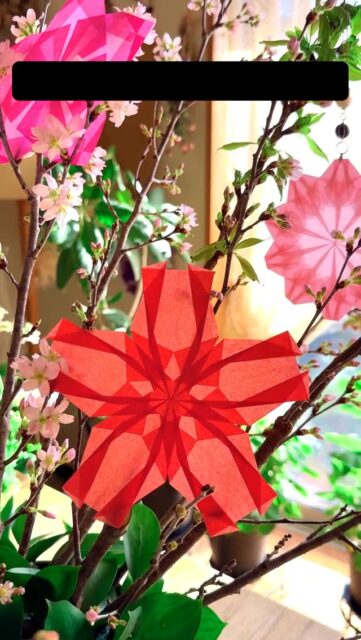 🌸たくさんのご購入ありがとうございました

桜三種盛り × 折り紙の桜で、ひと足先にお花見準備🌸

うっとりがみメンバーさんの桜も飾ってみました。
かわいい✨

近所の桜は、まだちょっぴり。
これからが楽しみです🌸

うっとりがみの桜で卒業・卒園を彩ってくださったご報告も、ありがとうございました✨

桜の折り図はプロフィールのハイライトからどうぞ🌸

👉@uttorigami_official_

📖折り図概要
・桜22種＋梅・桃のおまけ（全24作品）
・印刷版／電子版あり
・折り方動画はありません
・折り紙は付属しておりません
・2025年2月 Amazon出版

お花指導　Flower Labo

#保育士
#壁面装飾
#花の折り紙
#桜